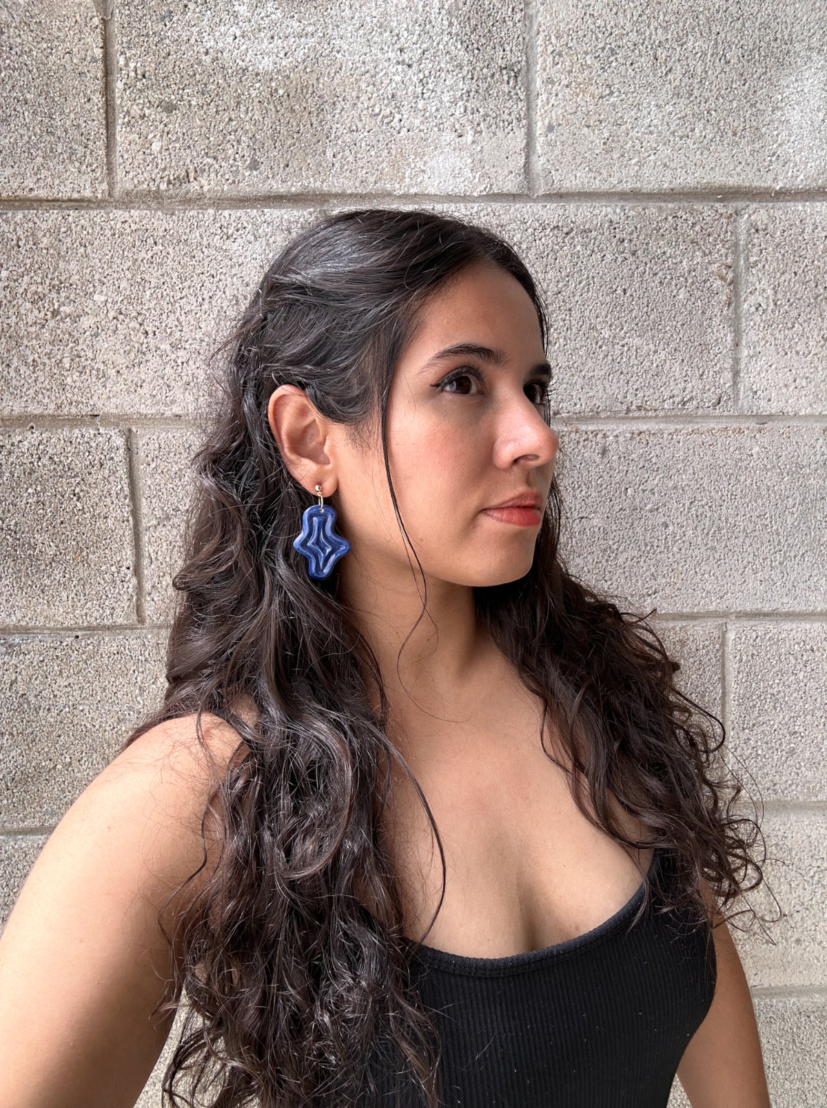 Pendientes - Lago -